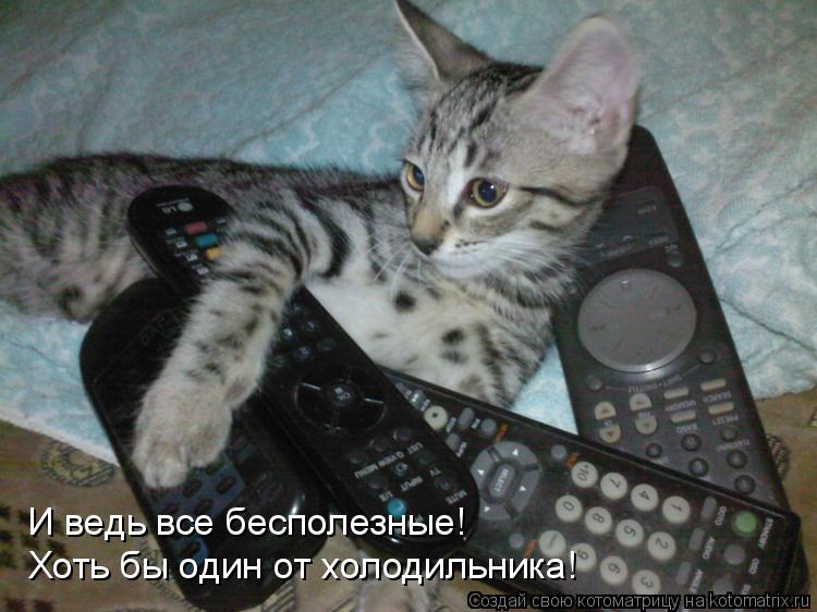Котоматрица: И ведь все бесполезные! Хоть бы один от холодильника!