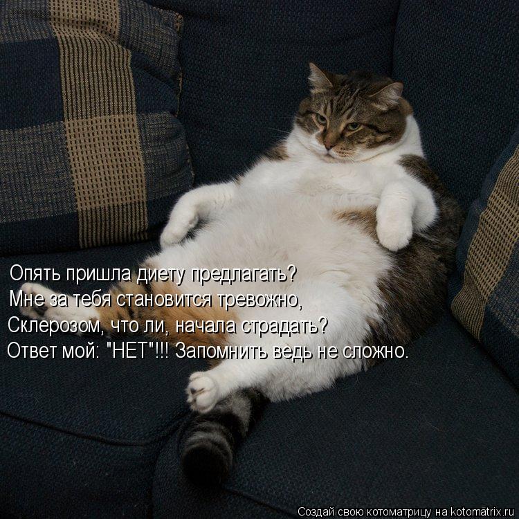 Опять пришла диету предлагать? Мне за тебя становится тревожно, Склерозом, что ли, начала страдать? О... Котоматрица: Опять пришла диету предлагать? Мне за тебя становится тревожно, Склерозом, что ли, начала страдать? Ответ мой: "НЕТ"!!! Запомнить ведь не сложн