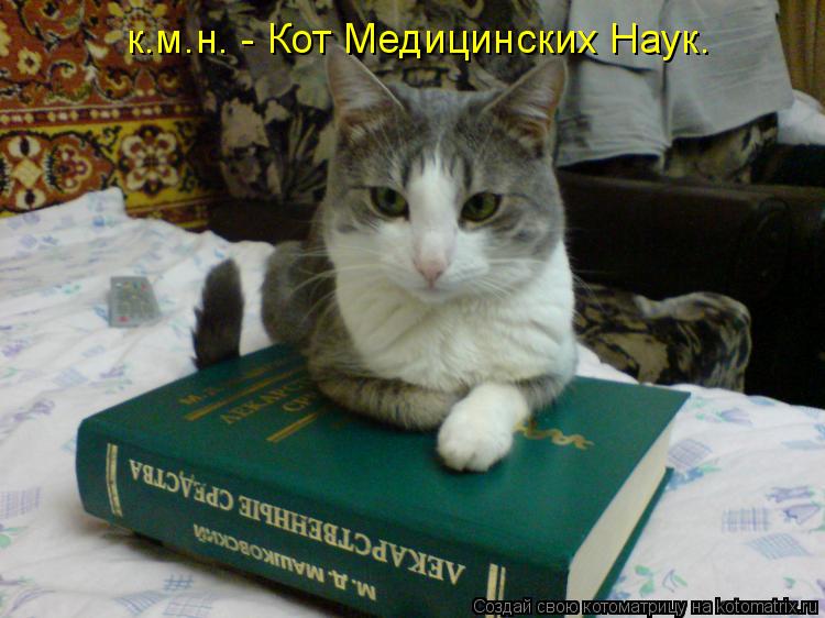 к.м.н. - Кот Медицинских Наук.