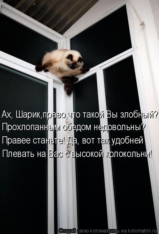 Прохлопанным обедом недовольны? Правее станьте! Да, вот так удобней Ах, Шарик,право,что такой Вы злоб... Котоматрица: Прохлопанным обедом недовольны? Правее станьте! Да, вот так удобней Ах, Шарик,право,что такой Вы злобный? Плевать на Вас с высокой колокольн