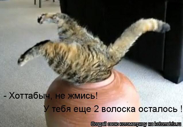 - Хоттабыч, не жмись! У тебя еще 2 волоска осталось !... Котоматрица: - Хоттабыч, не жмись! У тебя еще 2 волоска осталось !