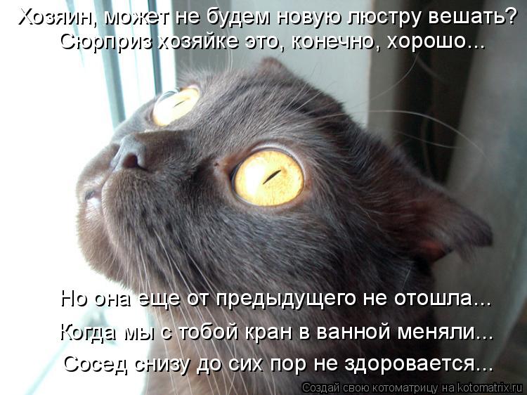 Котоматрица: Хозяин, может не будем новую люстру вешать?  Сюрприз хозяйке это, конечно, хорошо... Но она еще от предыдущего не отошла... Когда мы с тобой кра