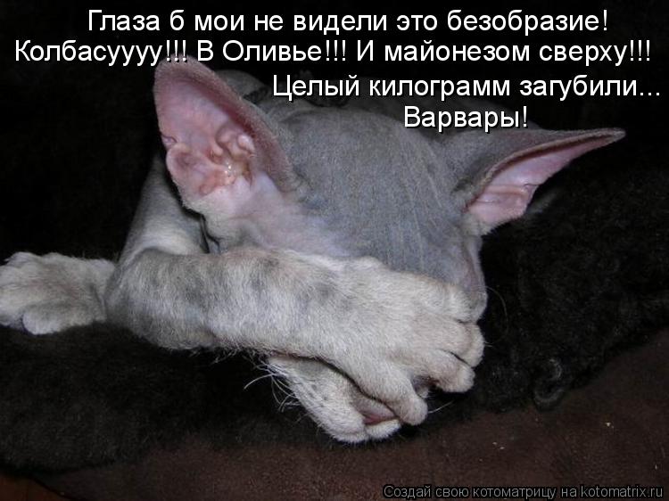 Глаза б мои не видели это безобразие! Колбасуууу!!! В Оливье!!! И майонезом сверху!!! Целый килогра... Котоматрица: Глаза б мои не видели это безобразие! Колбасуууу!!! В Оливье!!! И майонезом сверху!!! Целый килограмм загубили... Варвары!