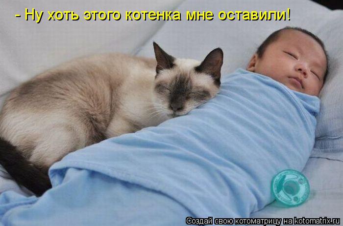 Котоматрица: - Ну хоть этого котенка мне оставили!