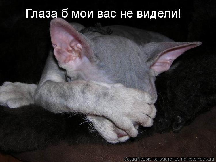 Котоматрица: Глаза б мои вас не видели!