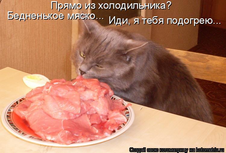 Котоматрица: Прямо из холодильника?  Бедненькое мяско... Иди, я тебя подогрею...
