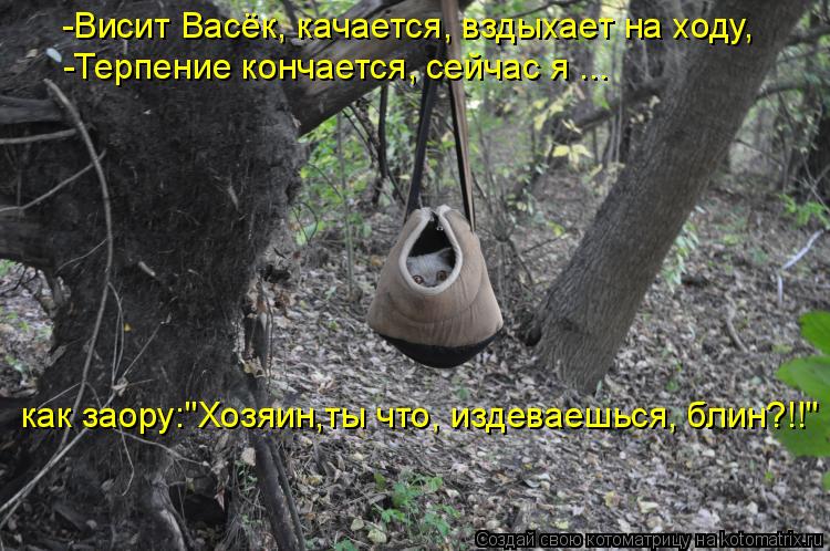 -Висит Васёк, качается, вздыхает на ходу, -Терпение кончается, сейчас я ... как заору:"Хозяин,ты что... Котоматрица: -Висит Васёк, качается, вздыхает на ходу, -Терпение кончается, сейчас я ... как заору:"Хозяин,ты что, издеваешься, блин?!!"
