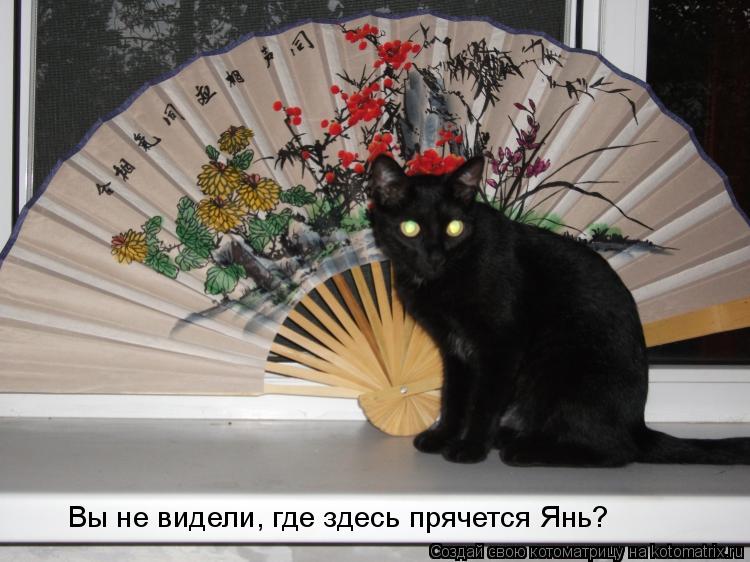 Котоматрица: Вы не видели, где здесь прячется Янь?