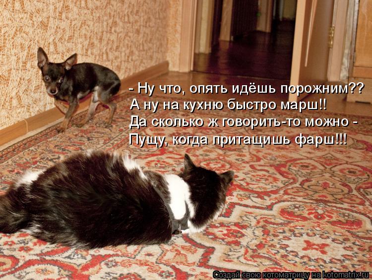 - Ну что, опять идёшь порожним?? А ну на кухню быстро марш!! Да сколько ж говорить-то можно - Пущу, к... Котоматрица: - Ну что, опять идёшь порожним?? А ну на кухню быстро марш!! Да сколько ж говорить-то можно - Пущу, когда притащишь фарш!!!