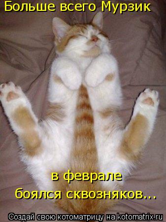 Котоматрица: Больше всего Мурзик боялся сквозняков...  в феврале