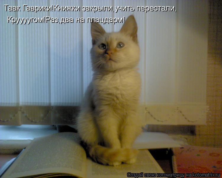 Таак Гаврики!Книжки закрыли,учить перестали, Круууугом!Раз,два на плацдарм!... Котоматрица: Таак Гаврики!Книжки закрыли,учить перестали, Круууугом!Раз,два на плацдарм!