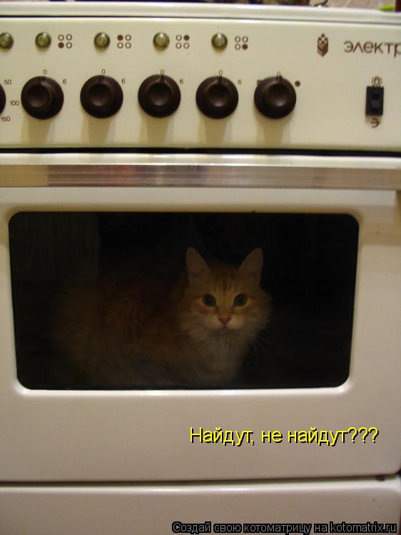 Найдут, не найдут???... Котоматрица: Найдут, не найдут???
