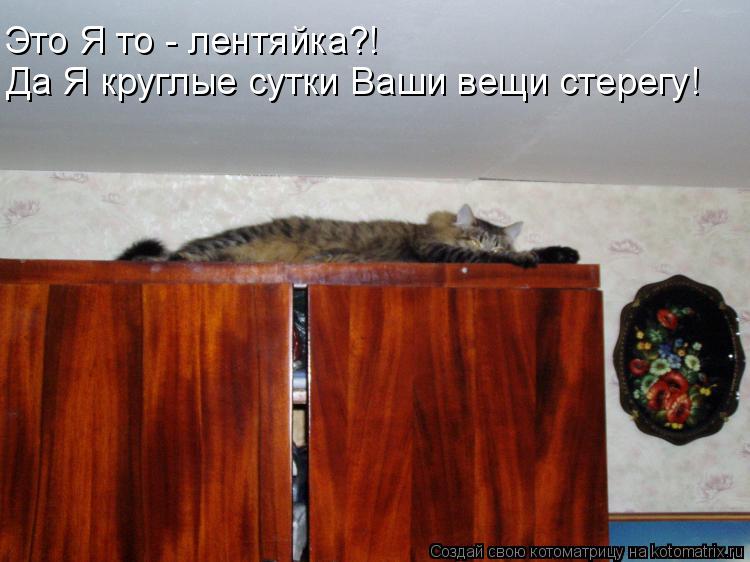 Это Я то - лентяйка?! Да Я круглые сутки Ваши вещи стерегу!... Котоматрица: Это Я то - лентяйка?! Да Я круглые сутки Ваши вещи стерегу!
