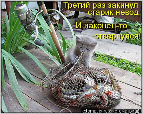 Котоматрица: Третий раз закинул  старик невод.  И наконец-то   отвернулся!