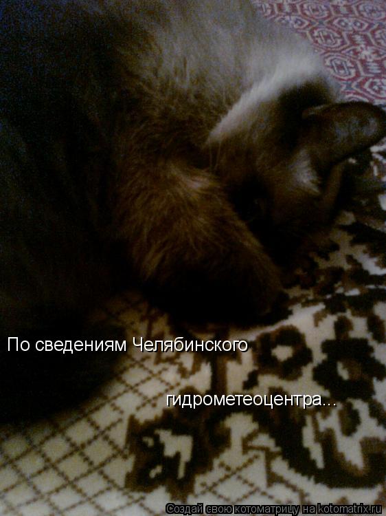 По сведениям Челябинского гидрометеоцентра...... Котоматрица: По сведениям Челябинского гидрометеоцентра...