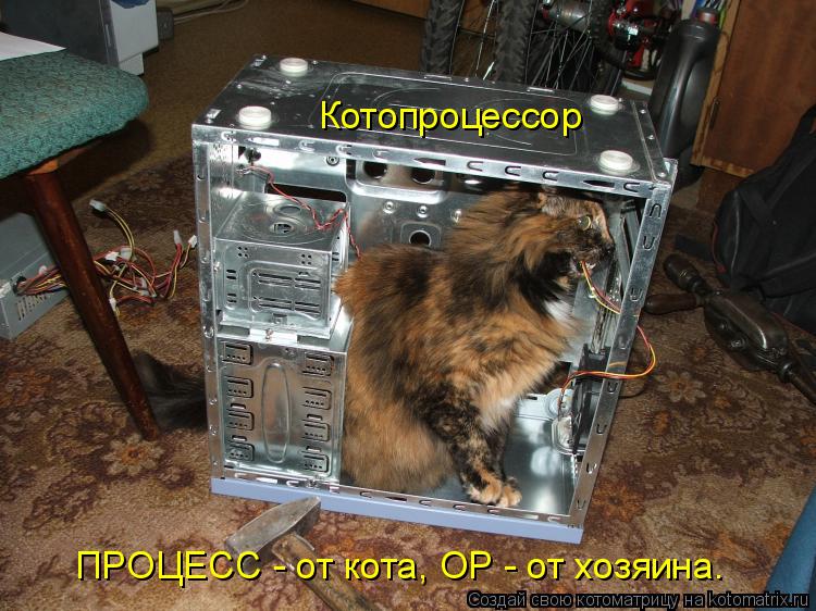 Котоматрица: Котопроцессор ПРОЦЕСС - от кота, ОР - от хозяина.