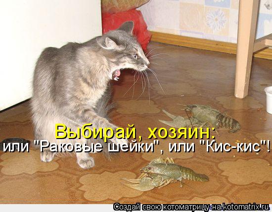 или "Раковые шейки", или "Кис-кис"! Выбирай, хозяин:... Котоматрица: или "Раковые шейки", или "Кис-кис"! Выбирай, хозяин: