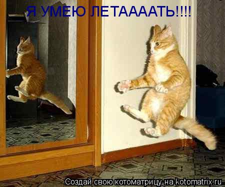 Я УМЕЮ ЛЕТААААТЬ!!!!... Котоматрица: Я УМЕЮ ЛЕТААААТЬ!!!!