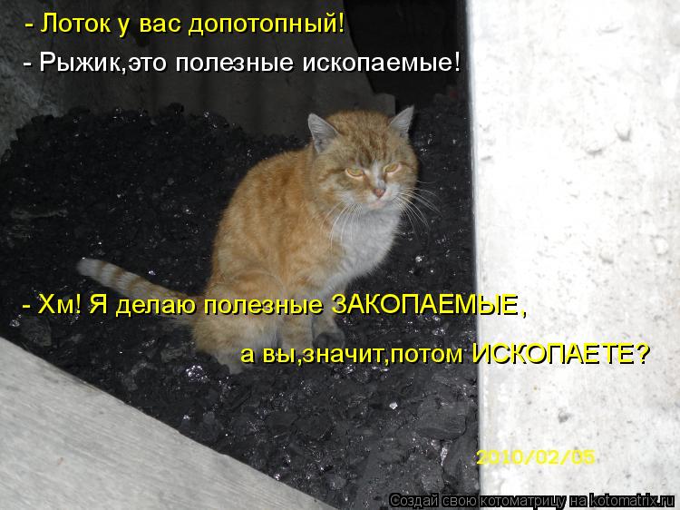 - Лоток у вас допотопный! - Рыжик,это полезные ископаемые! - Хм! Я делаю полезные ЗАКОПАЕМЫЕ, а вы,зн... Котоматрица: - Лоток у вас допотопный! - Рыжик,это полезные ископаемые! - Хм! Я делаю полезные ЗАКОПАЕМЫЕ, а вы,значит,потом ИСКОПАЕТЕ?