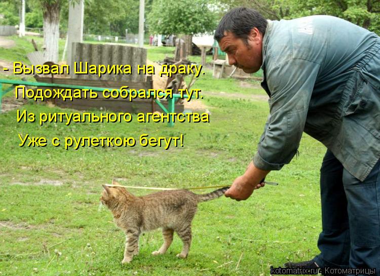 - Вызвал Шарика на драку. Подождать собрался тут. Из ритуального агентства Уже с рулеткою бегут!... Котоматрица: - Вызвал Шарика на драку. Подождать собрался тут. Из ритуального агентства Уже с рулеткою бегут!