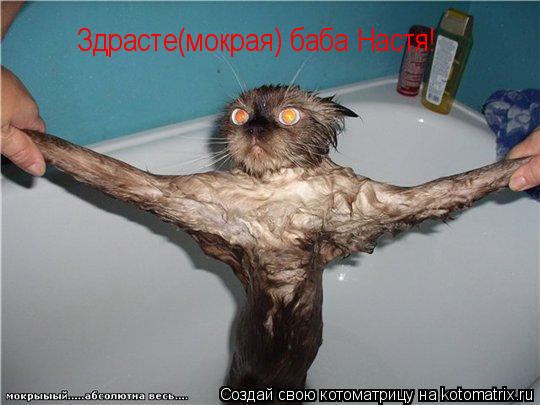 Здрасте(мокрая) баба Настя!... Котоматрица: Здрасте(мокрая) баба Настя!