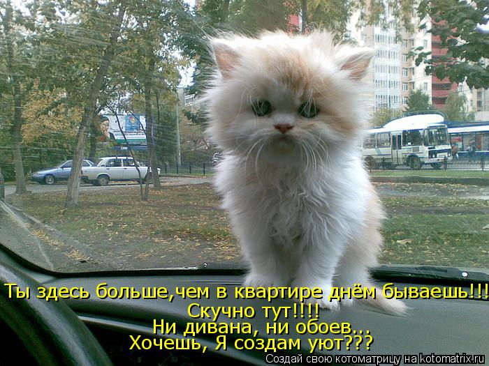 Котоматрица: Ты здесь больше,чем в квартире днём бываешь!!! Скучно тут!!!! Ни дивана, ни обоев... Хочешь, Я создам уют???