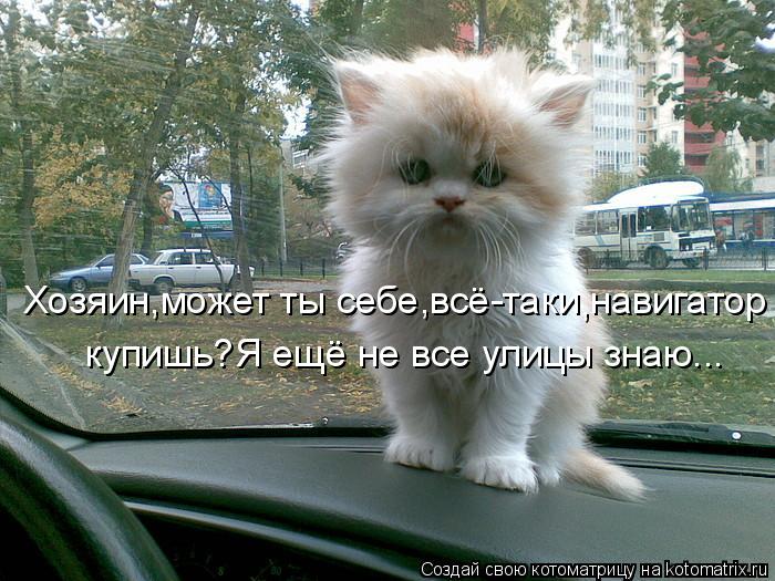 Хозяин,может ты себе,всё-таки навигатор купишь?Я ещё не все улицы знаю... ,... Котоматрица: Хозяин,может ты себе,всё-таки навигатор купишь?Я ещё не все улицы знаю... ,