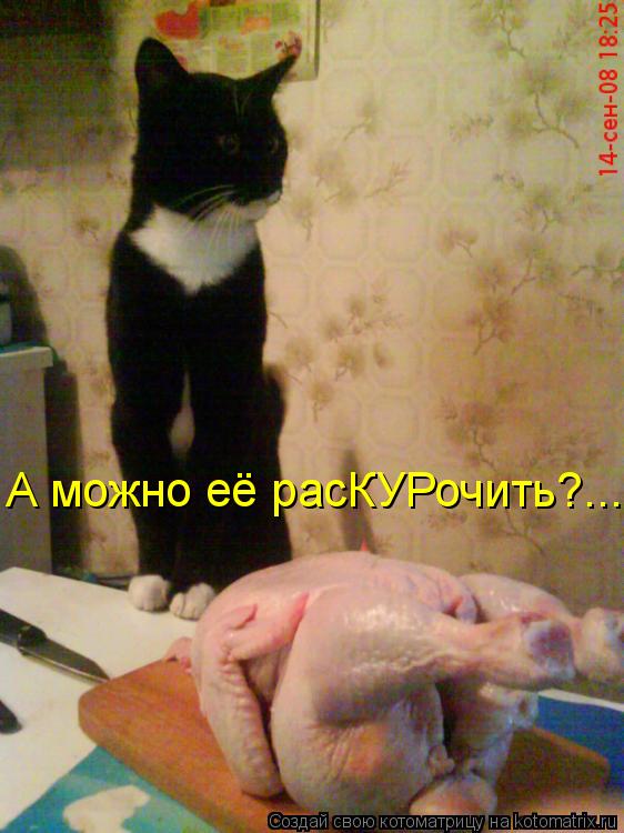 А можно её расКУРочить?...... Котоматрица: А можно её расКУРочить?...