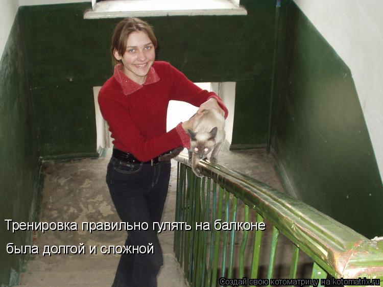 Тренировка правильно гулять на балконе была долгой и сложной... Котоматрица: Тренировка правильно гулять на балконе была долгой и сложной
