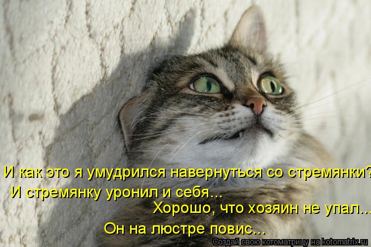 И как это я умудрился навернуться со стремянки? И стремянку уронил и себя... Хорошо, что хозяин не уп... Котоматрица: И как это я умудрился навернуться со стремянки? И стремянку уронил и себя... Хорошо, что хозяин не упал... Он на люстре повис...