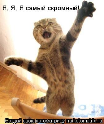 Я, Я, Я самый скромный!... Котоматрица: Я, Я, Я самый скромный!