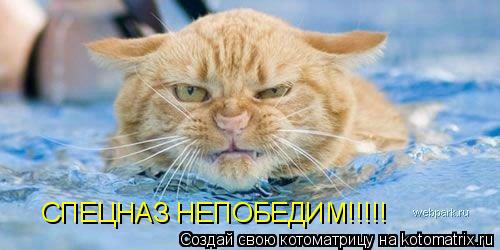 Котоматрица: СПЕЦНАЗ НЕПОБЕДИМ!!!!!