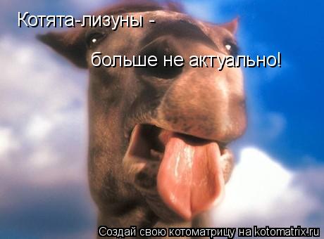 Котята-лизуны - больше не актуально!... Котоматрица: Котята-лизуны - больше не актуально!