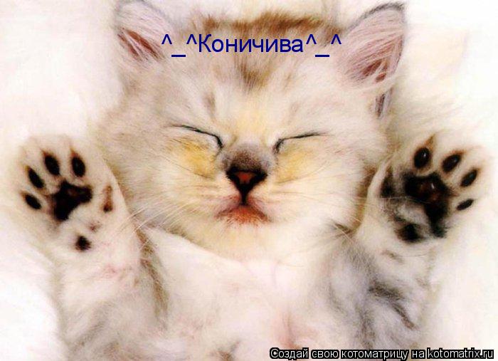 Котоматрица: ^_^Коничива^_^
