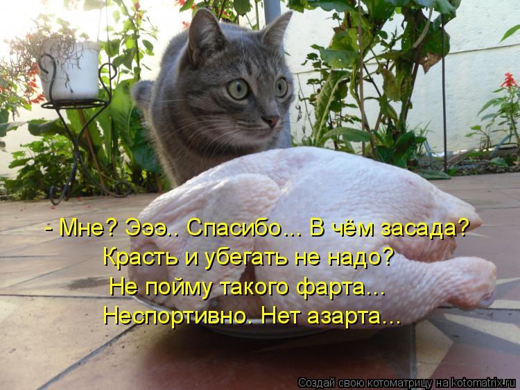 - Мне? Эээ.. Спасибо... В чём засада? Красть и убегать не надо? Не пойму такого фарта... Неспортивно.... Котоматрица: - Мне? Эээ.. Спасибо... В чём засада? Красть и убегать не надо? Не пойму такого фарта... Неспортивно. Нет азарта...