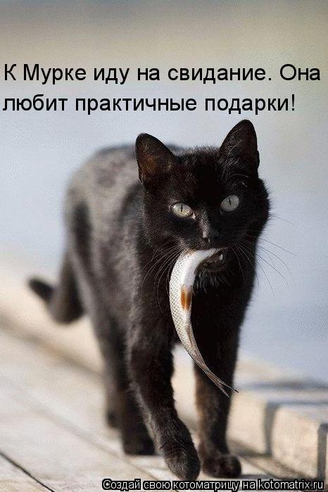 К Мурке иду на свидание. Она любит практичные подарки!... Котоматрица: К Мурке иду на свидание. Она любит практичные подарки!