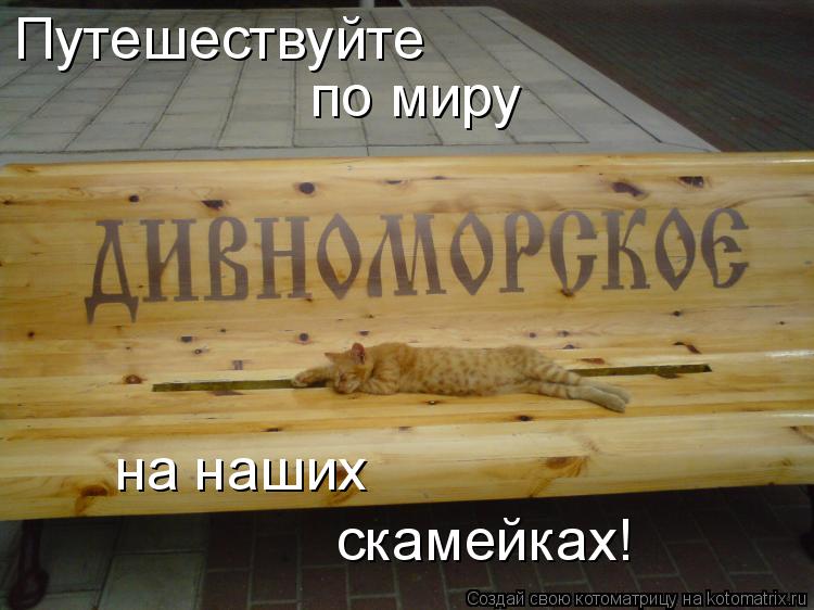 Котоматрица: Путешествуйте по миру на наших скамейках!