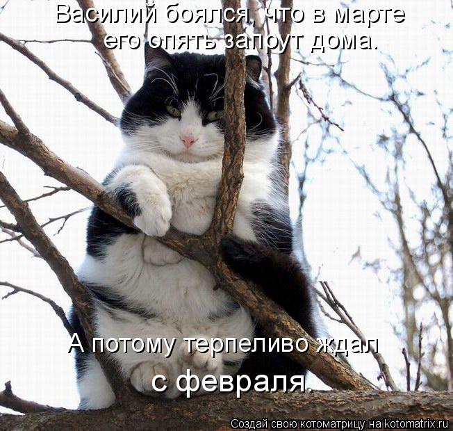 Василий боялся, что в марте его опять запрут дома. А потому терпеливо ждал с февраля.... Котоматрица: Василий боялся, что в марте его опять запрут дома. А потому терпеливо ждал с февраля.
