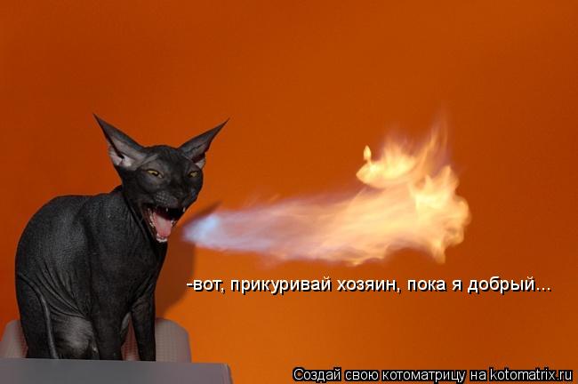 Котоматрица: -вот, прикуривай хозяин, пока я добрый...