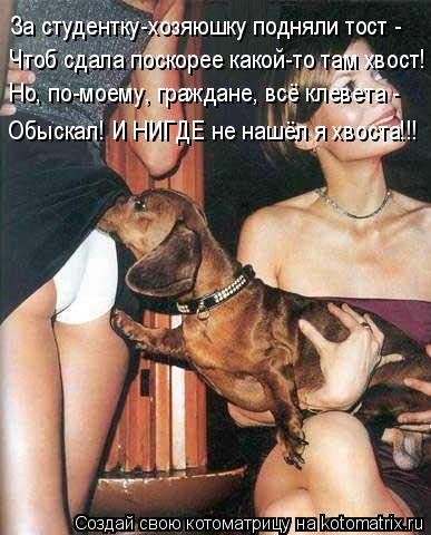 За студентку-хозяюшку подняли тост - Чтоб сдала поскорее какой-то там хвост! Но, по-моему, граждане, ... Котоматрица: За студентку-хозяюшку подняли тост - Чтоб сдала поскорее какой-то там хвост! Но, по-моему, граждане, всё клевета - Обыскал! И НИГДЕ не нашёл я х