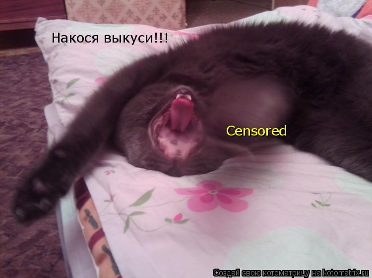 Котоматрица: Накося выкуси!!! Censored