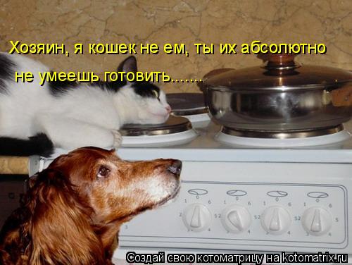 Хозяин, я кошек не ем, ты их абсолютно Хозяин, я кошек не ем, ты их абсолютно не умеешь готовить.... Котоматрица: Хозяин, я кошек не ем, ты их абсолютно Хозяин, я кошек не ем, ты их абсолютно не умеешь готовить.......
