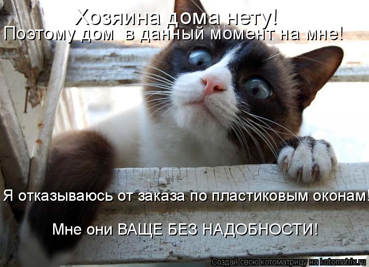 Поэтому дом в данный момент на мне! Хозяина дома нету! Я отказываюсь от заказа по пластиковым оконам... Котоматрица: Поэтому дом в данный момент на мне! Хозяина дома нету! Я отказываюсь от заказа по пластиковым оконам! Мне они ВАЩЕ БЕЗ НАДОБНОСТИ!