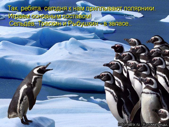 Так, ребята, сегодня к нам приплывают полярники. Играем основным составом! Сельдёв, Трескин и Рыбушк... Котоматрица: Так, ребята, сегодня к нам приплывают полярники. Играем основным составом! Сельдёв, Трескин и Рыбушкин - в запасе..