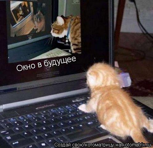 Окно в будущее... Котоматрица: Окно в будущее