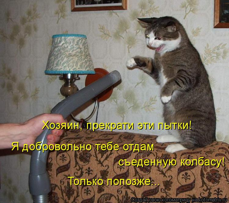 Хозяин, прекрати эти пытки! Я добровольно тебе отдам съеденную колбасу! Только попозже...... Котоматрица: Хозяин, прекрати эти пытки! Я добровольно тебе отдам съеденную колбасу! Только попозже...