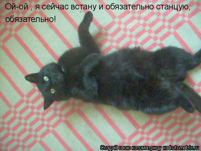 Котоматрица: Ой-ой , я сейчас встану и обязательно станцую, обязательно!
