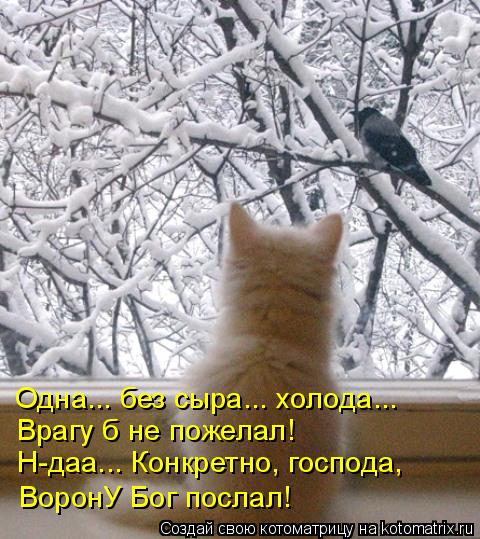 Одна... без сыра... холода... Врагу б не пожелал! Н-даа... Конкретно, господа, ВоронУ Бог послал!... Котоматрица: Одна... без сыра... холода... Врагу б не пожелал! Н-даа... Конкретно, господа, ВоронУ Бог послал!