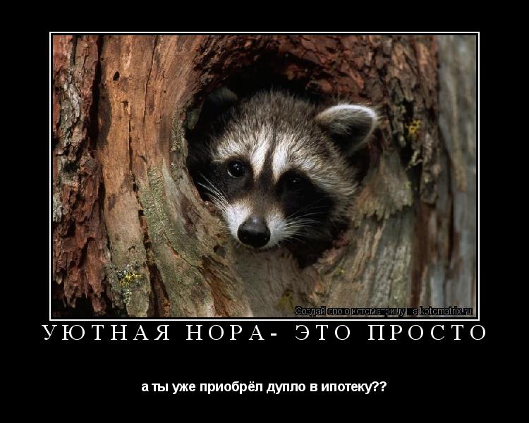 уютная нора- это просто а ты уже приобрёл дупло в ипотеку??... Котоматрица: уютная нора- это просто а ты уже приобрёл дупло в ипотеку??