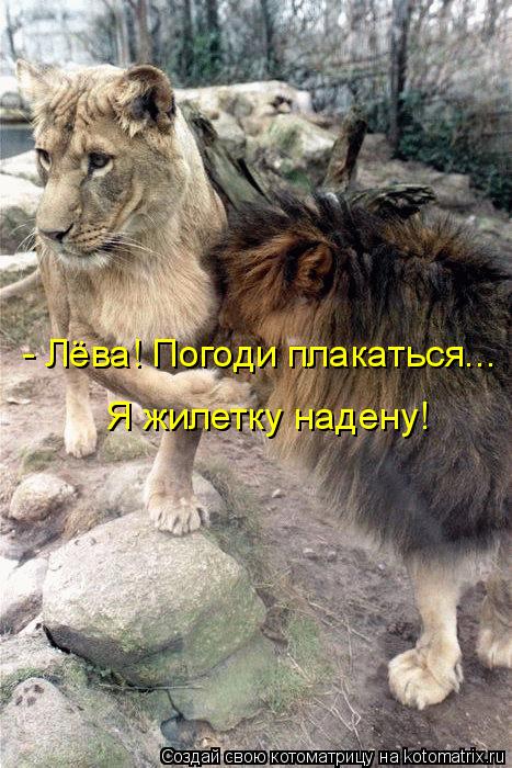 - Лёва! Погоди плакаться... Я жилетку надену!... Котоматрица: - Лёва! Погоди плакаться... Я жилетку надену!
